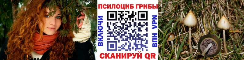 Галлюциногенные грибы MAGIC MUSHROOMS  Усолье-Сибирское 
